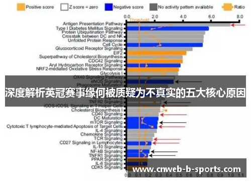 深度解析英冠赛事缘何被质疑为不真实的五大核心原因